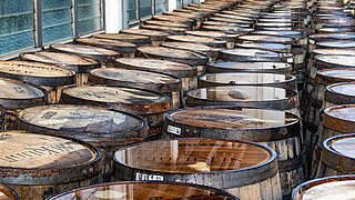 View of several rows of stored wooden barrels, which are partly wet from rain