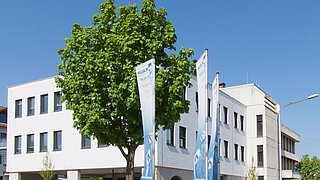 Vista exterior de una rama de KAUP contra un cielo azul con tres banderas y un árbol en primer plano