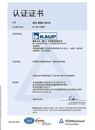 Zertifikat Qualitätsmanagement ISO 9001:2015 (chinesische Version) 